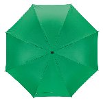 Taschenschirm REGULAR, gr�n - Werbeartikel