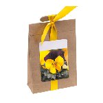 S�mereien-T�te VIOLA,  - Werbeartikel