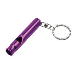 Schl�sselanh�nger FLUTE, lila - Werbeartikel