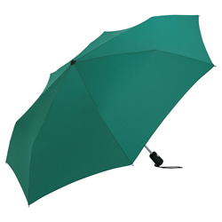 Rainlite� Trimagic� Mini Taschenschirm, gr�n - Werbeartikel